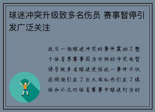 球迷冲突升级致多名伤员 赛事暂停引发广泛关注